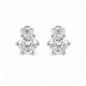 Сережки Diamond Love з діамантами 2Ct HP28824